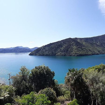 A Sea View B&B Пиктон Экстерьер фото