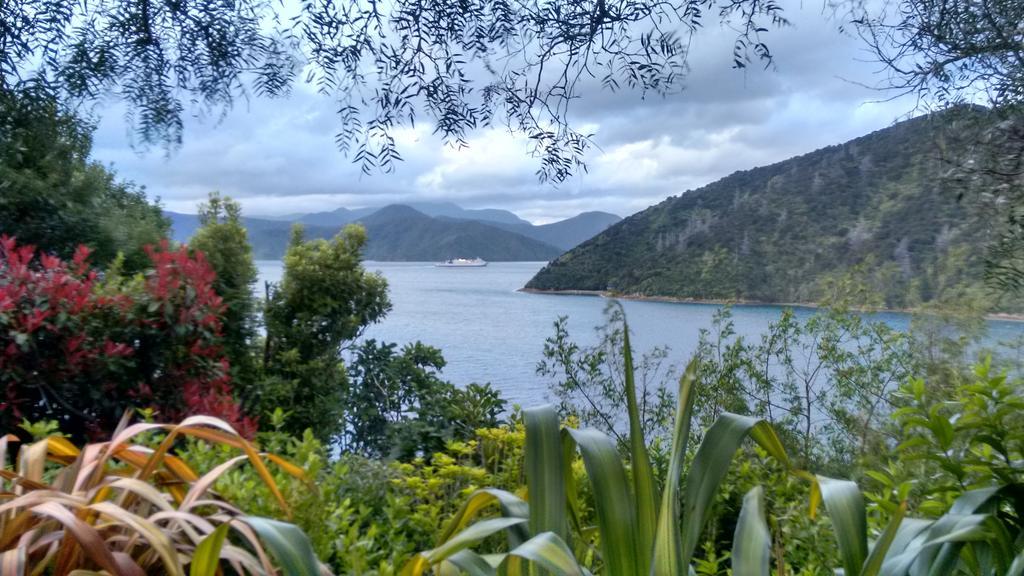 A Sea View B&B Пиктон Номер фото